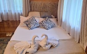 Cabana Plaiul Bucovinei
